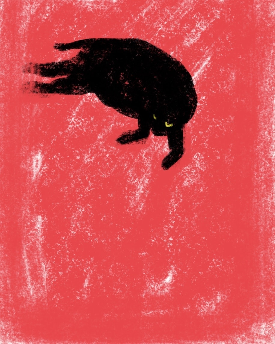 ペットのイラスト描きます 愛しのペットをイラストにしてみませんか。 イメージ2