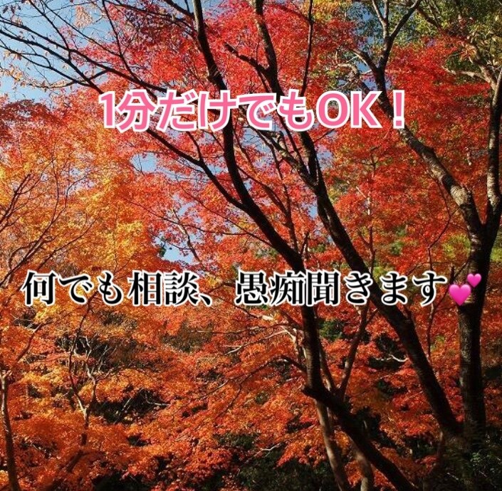 周りに言えないことお聞きします どんな事でも言えないこと、愚痴、相談何でもOK！！ イメージ1