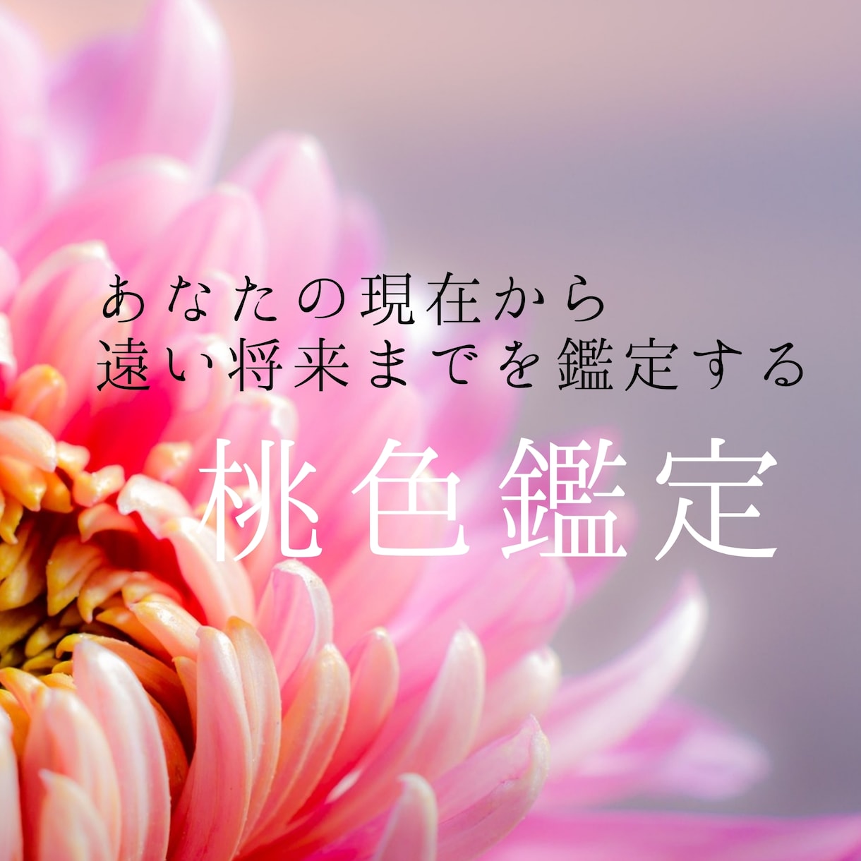 四柱推命★鑑定書をPDF5～7枚でお届けします 『人生あなたが主役の鑑定書』PDF5～7枚程度 イメージ1