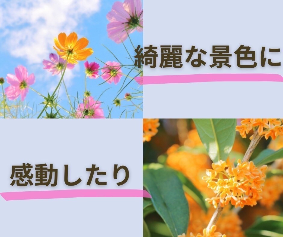 HSS型HSP気質のあなたと本音で語り合います 友達感覚で話せる楽しい電話相談気✨持ち吐き出しませんか？ イメージ8