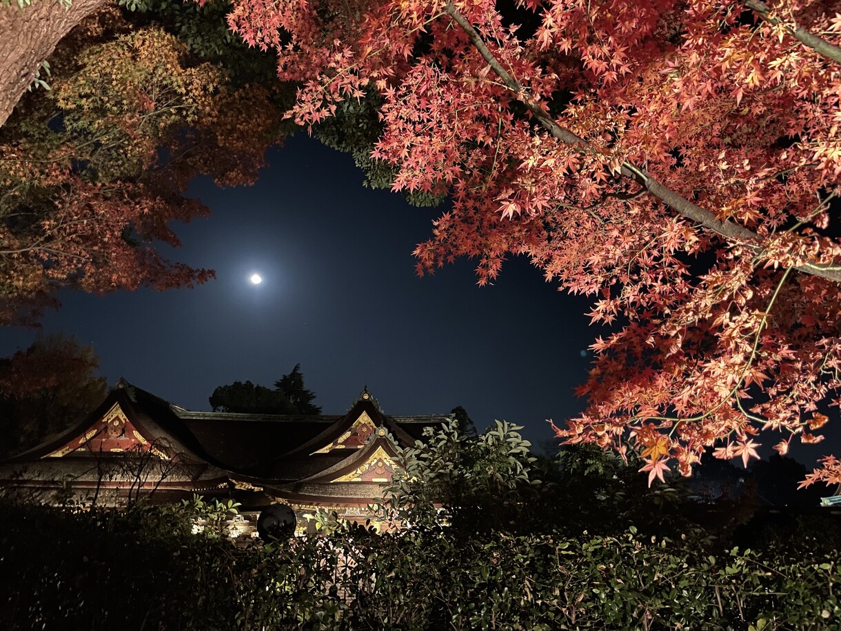 京都市内の観光地、穴場スポット写真代行致します 『コロナ禍でなかなか京都観光に行けない』という方に必見‼︎ イメージ3