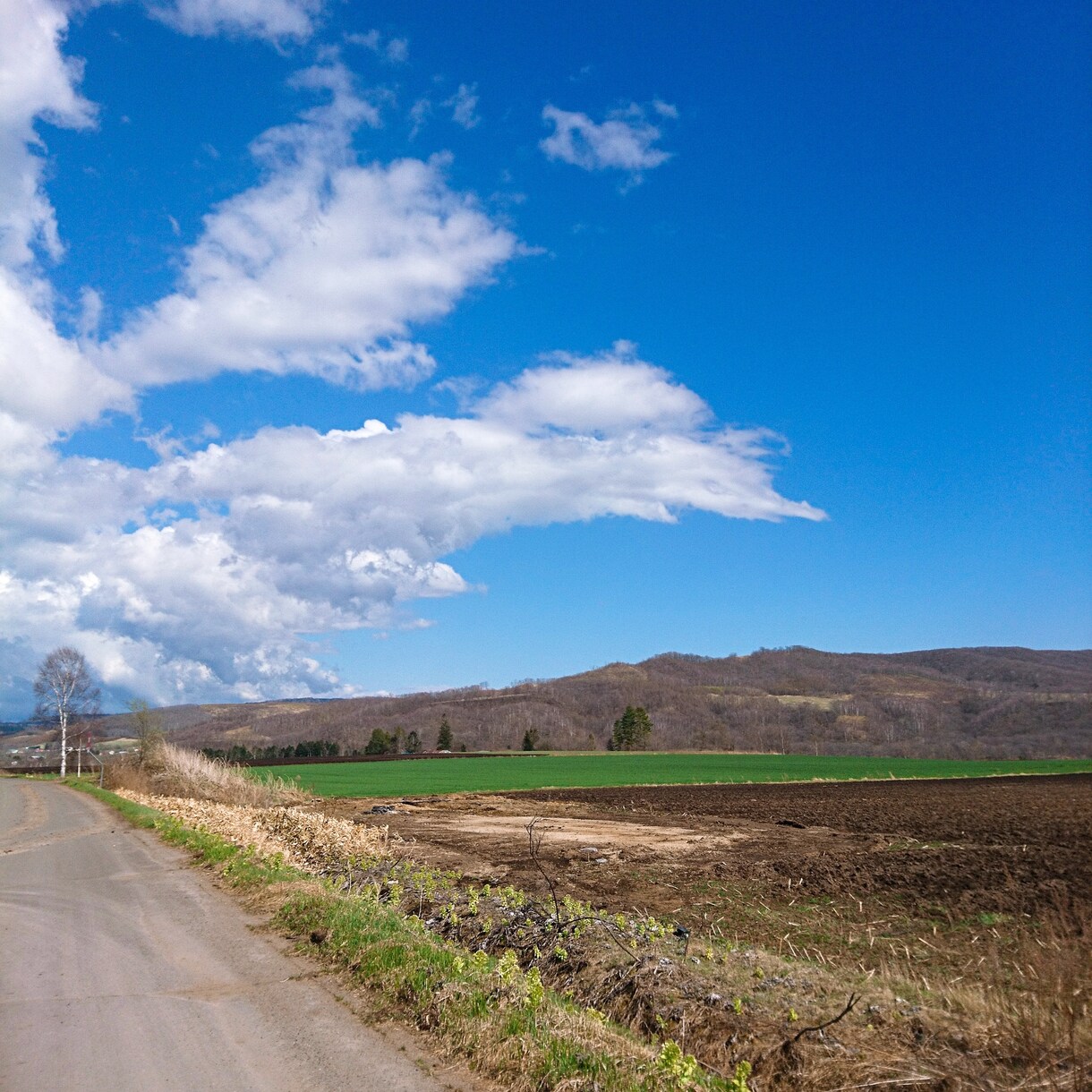 双極性障害、摂食障害、発達障害の相談にのります 看護師＆当事者の私が、経験に基づいたお話を！ イメージ1