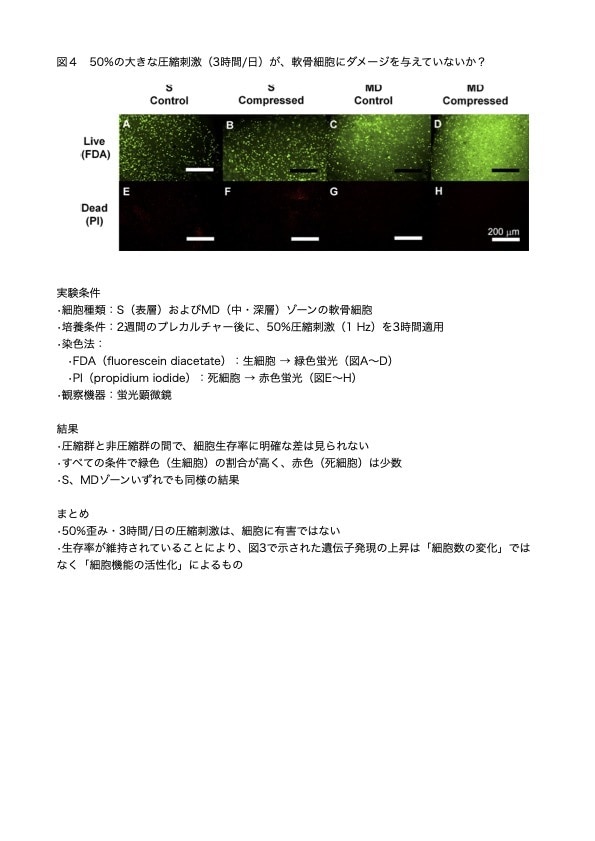 医学論文の翻訳・要約をします “読むべき文献”だけに集中を！要約で時間も労力も効率化 イメージ2