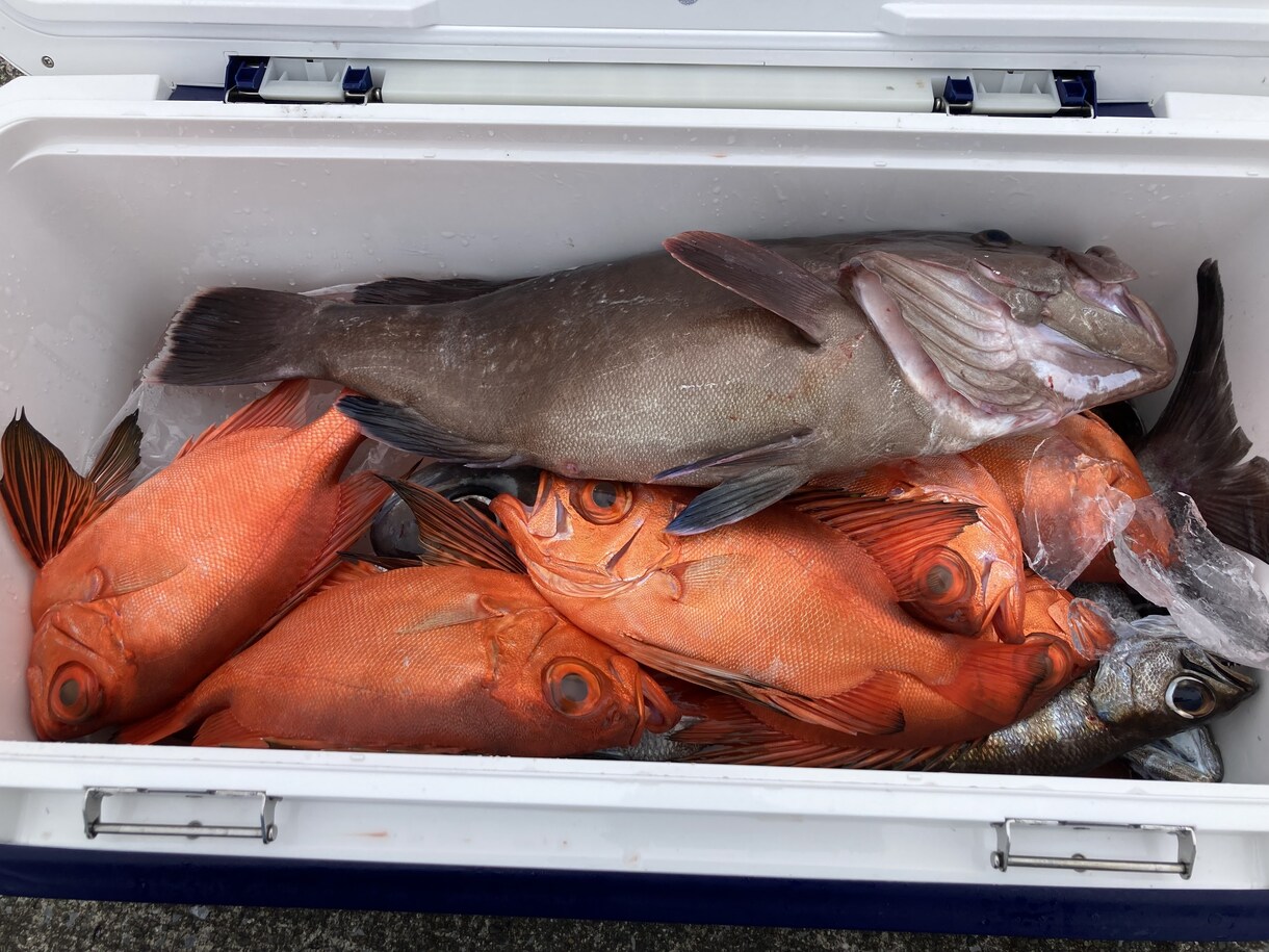 初心者〜熟練者まで！釣りの相談のります 動画ではわからない釣具の選び方や良い船宿選定教えます イメージ3