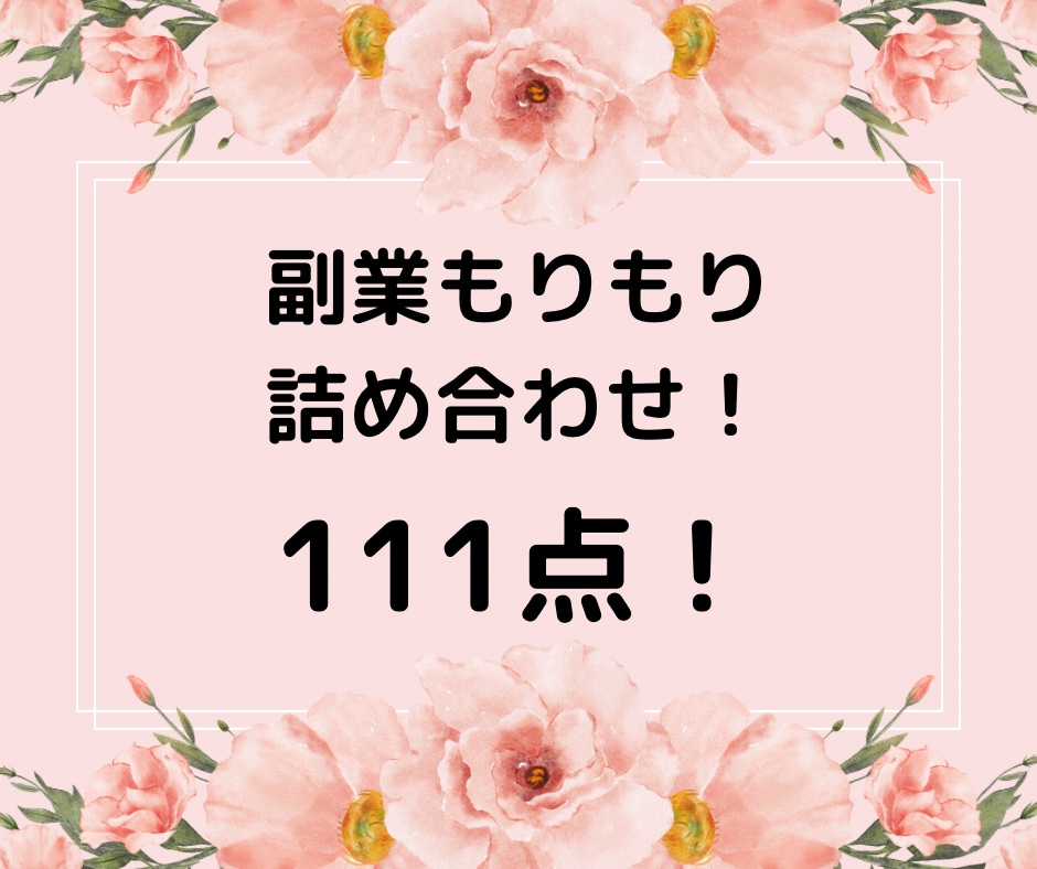 残り1名！副業111点詰め合わせお譲りします 副業詰め合わせ！きっとあなたに合う副業見つかります！ イメージ1