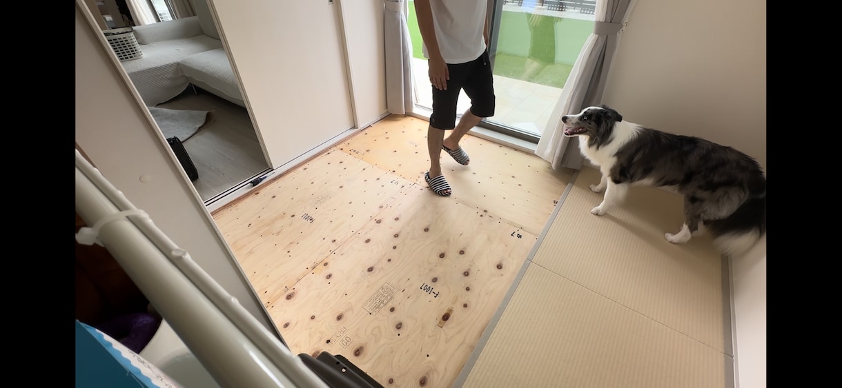 賃貸OK！愛犬の傷や汚れ、悩みをプロが解決します 愛犬の住まい相談！壊されない・汚れない空間をDIY提案 イメージ1