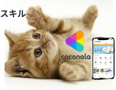 人間関係、パソコン、色んなお悩みに寄り添います デジタルライフと心の健康サポート☕お悩み相談＆雑談 イメージ1
