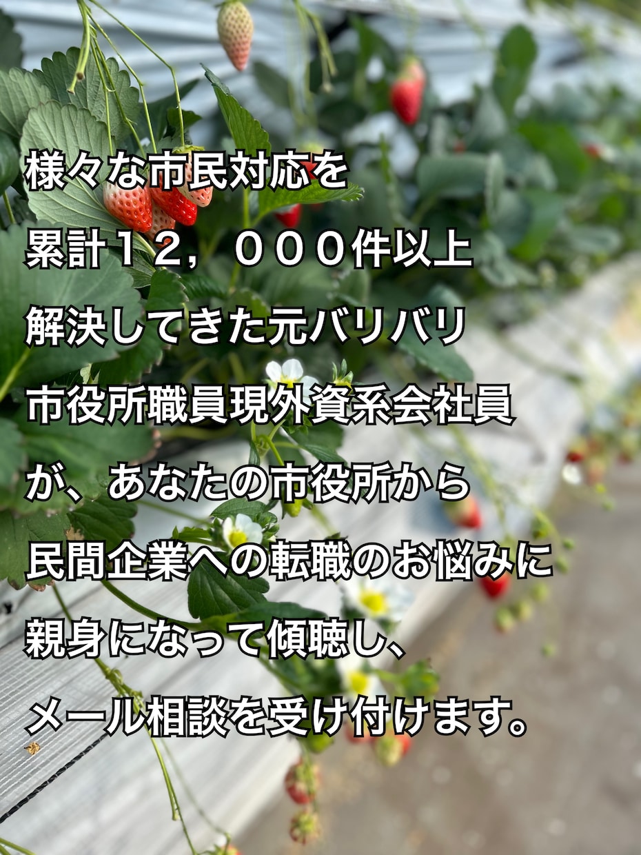 公務員→民間(特に外資系)への転職相談を承ります 市民対応累計12,000件以上元市役所職員が傾聴します。 イメージ1