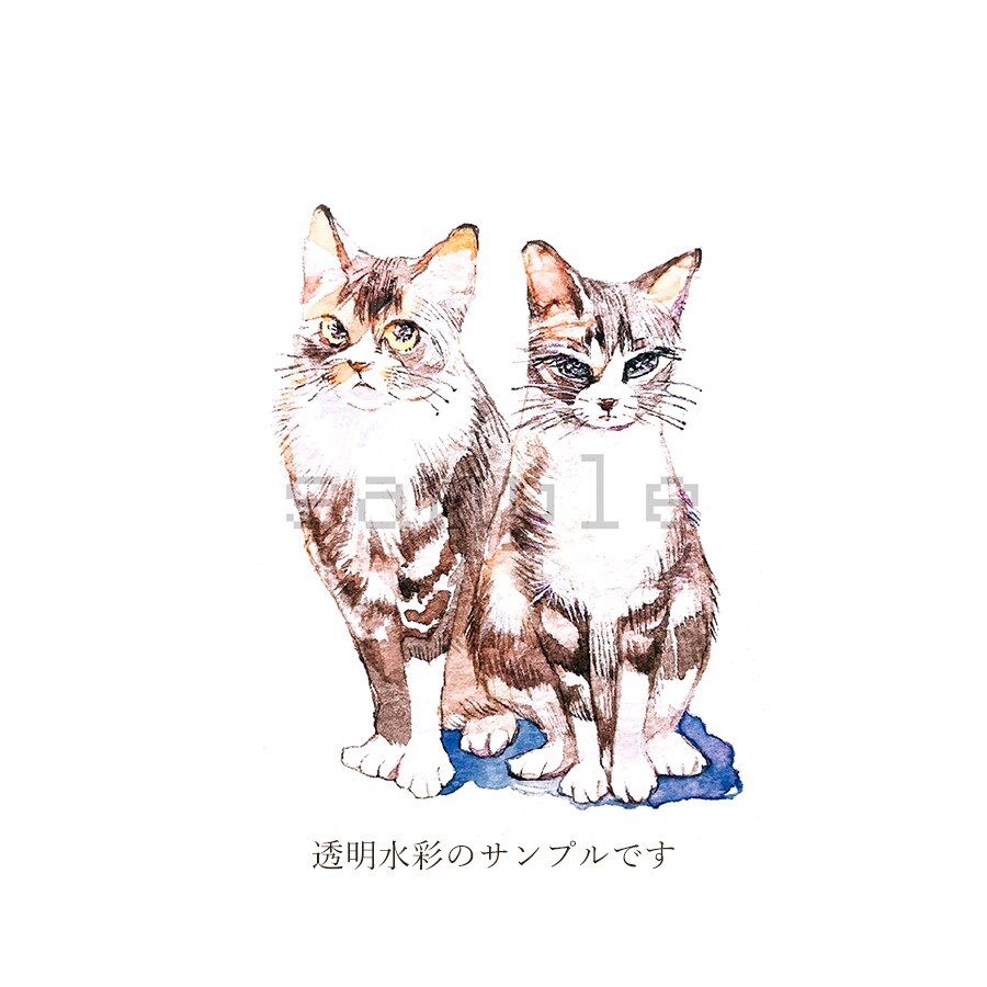 おしゃれかわいい！　ペットイラスト　おつくりします 透明水彩を使用　色彩豊かなアナログイラスト イメージ2