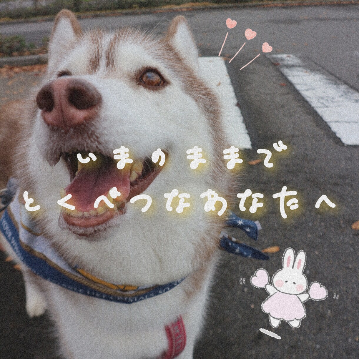 1人で悩まないで。不登校、人間関係の悩みを聞きます いじめ、不登校等経験した私が聞きます。何度でもやりとりOK！ イメージ1