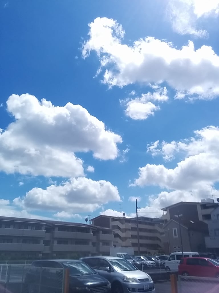 ラフ原稿つくります。ます デザイン案が難なときお役に立ちになれば イメージ1