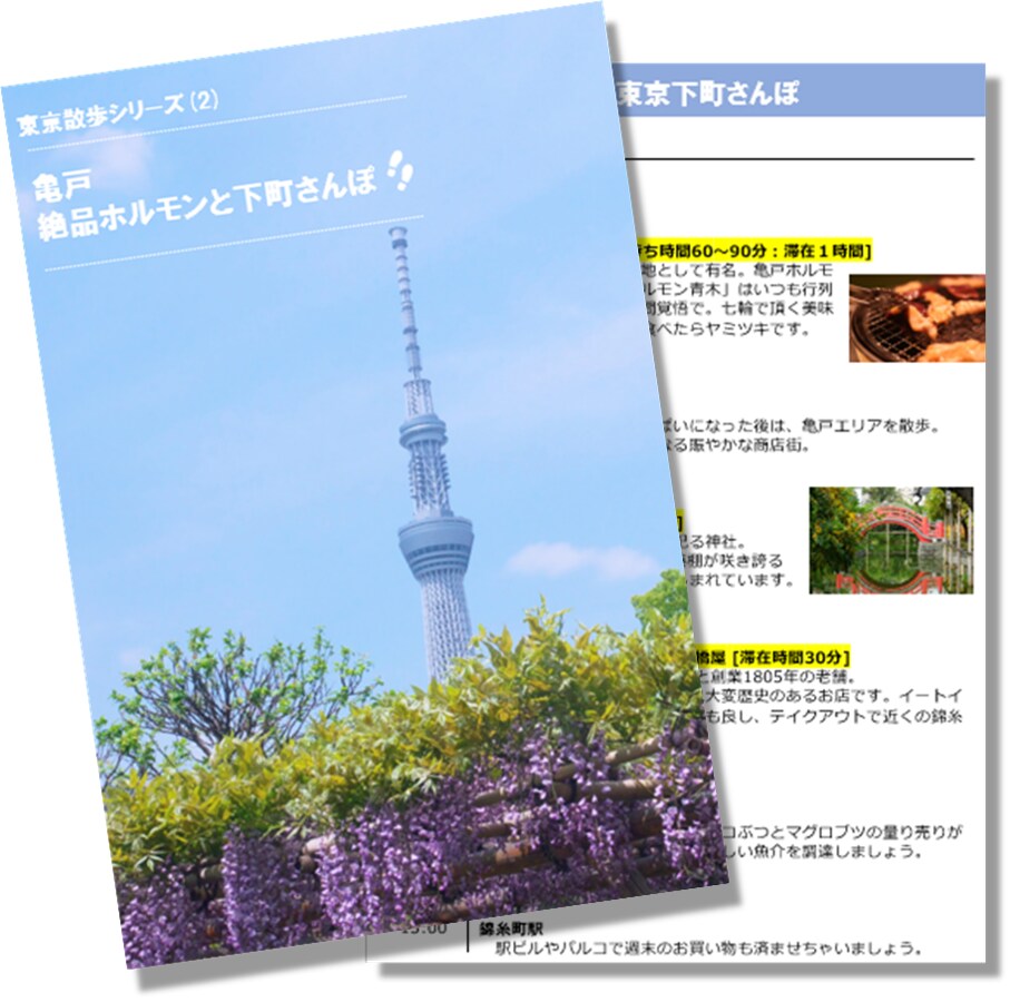 すぐ使える！国内旅行プランをご提供します 過去に作成した国内旅行プランのしおりを即日お渡しします イメージ6