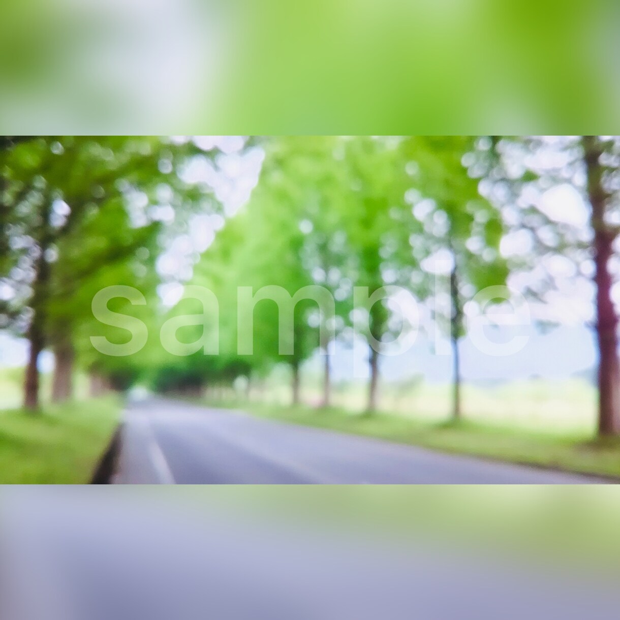 自然の写真を中心に素材をご提供いたします （SNSのアイコンや背景、広告などの商用利用にも／〜10枚） イメージ5