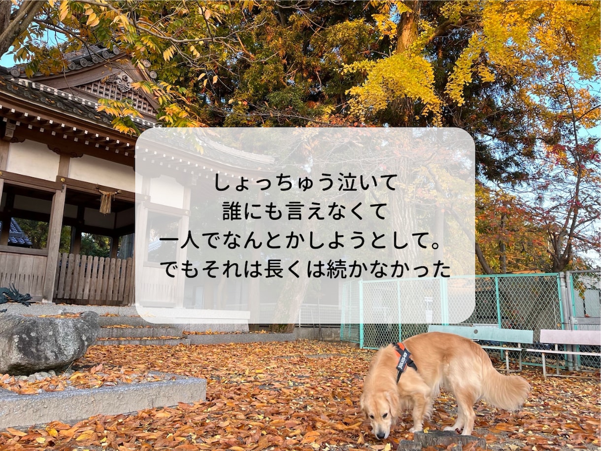 家族の闘病を経験した看護師があなたの辛さを聴きます 20〜40代子育て世代の看病の孤独や弱音を優しく受け止めます イメージ9