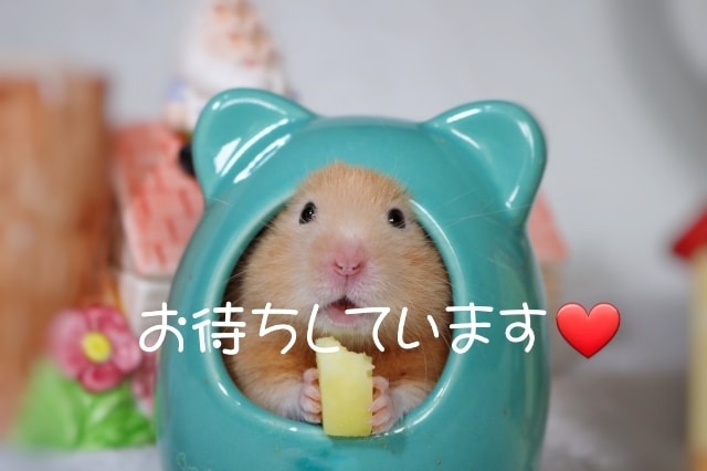 短時間からでもOK!✨あたなの気持ちに寄り添います 愚痴/悩み/人間関係/モヤモヤした想い否定なしでお聴きします イメージ7
