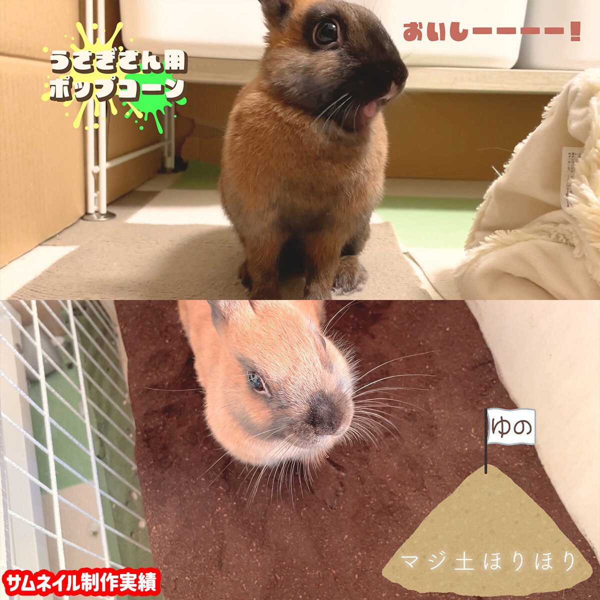 切り抜き動画編集します カット/BGM/SE/テロップ対応も可能 イメージ3