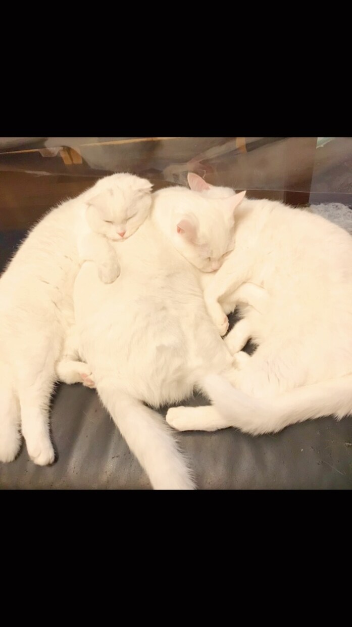 私にどーんと甘えてください！優しく受け止めます 大人でいることに疲れてしまったあなたへ。 イメージ8