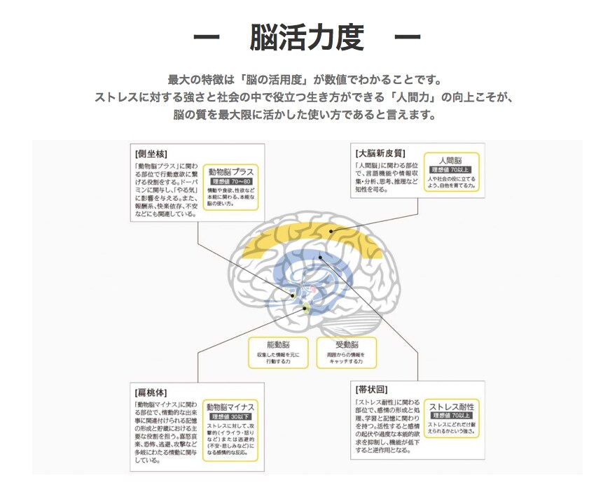 脳診断を活用して言葉のすれ違いをなくします あなたの脳タイプを知って、言葉のすれ違いをなくす秘訣伝授 イメージ3