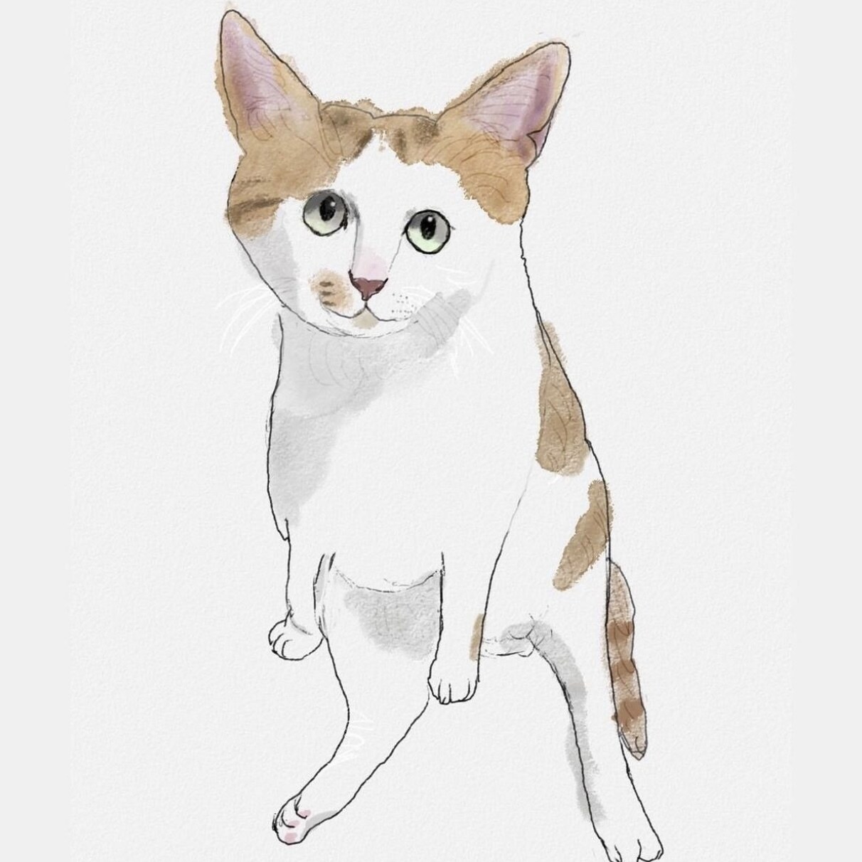 ゆるっと可愛く！ペットのイラスト描きます リアルだけど、可愛いタッチの世界に一つのイラストを心込めて イメージ4