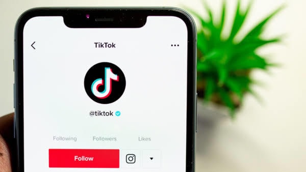 現役22万人のTikTokerがコンサル致します 有名TikTokerコンサル経験有！初心者でも丁寧にコンサル イメージ1