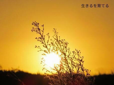 学生さん・新社会人さん、悩み・辛いお気持ち聞きます 辛い、イライラ、苦しい、やり場のない気持ち全て受け止めます。 イメージ1