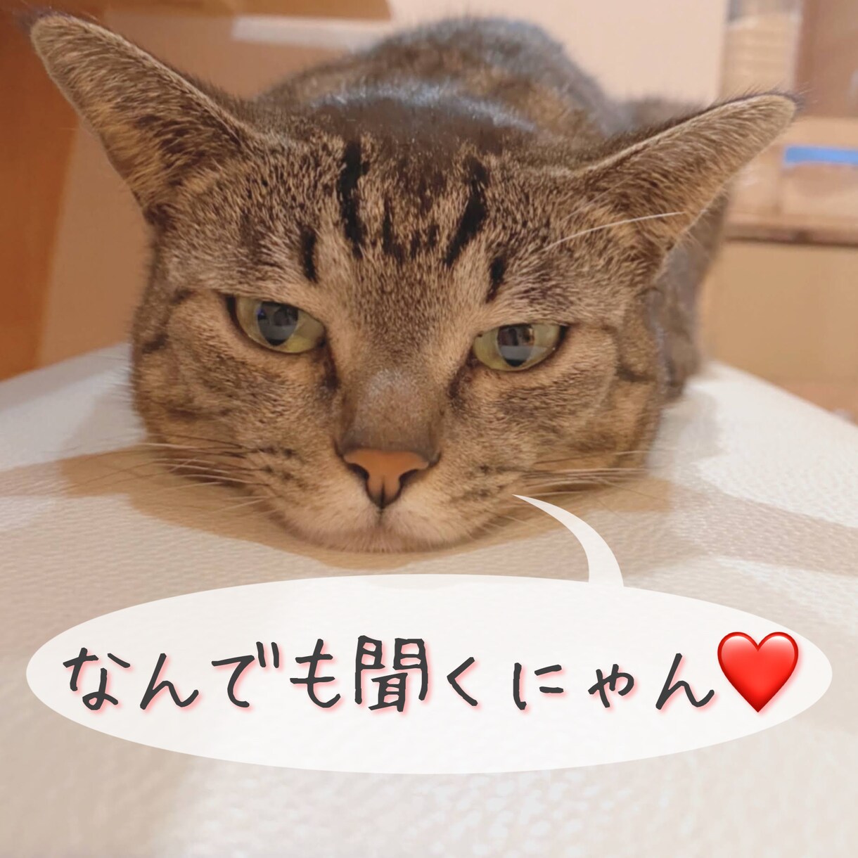 推しの話聞きます こっそり推してる人の話聞きます♡ イメージ1
