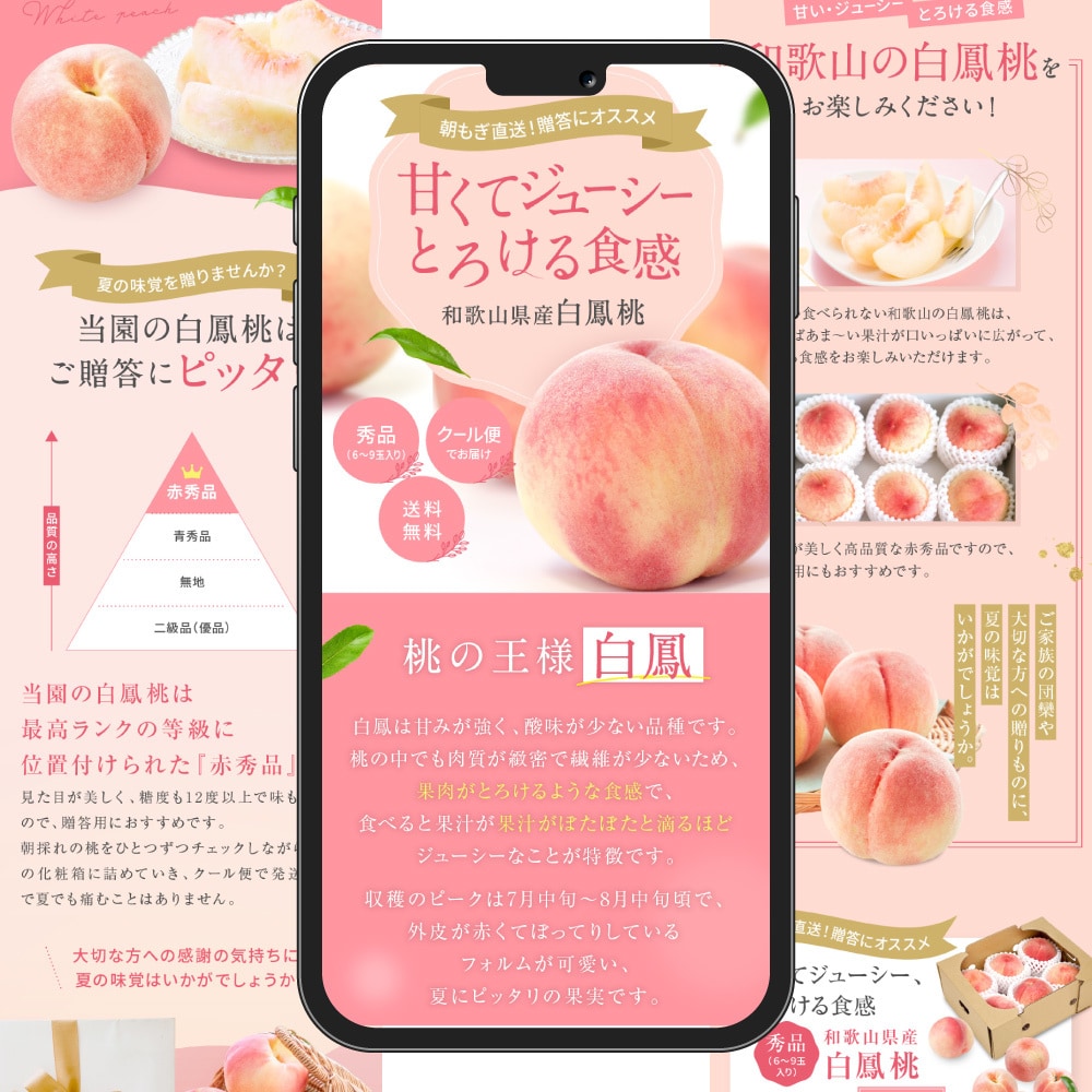 丸投げでLPを短納期で作成を対応します 商品、詳細の特徴をお伝えいただくだけで、お任せで制作可能 イメージ10