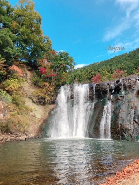 1ヵ月あなた専属のカウンセラーとなります 一日、一日言葉や思いのやりとりで寄り添います イメージ2