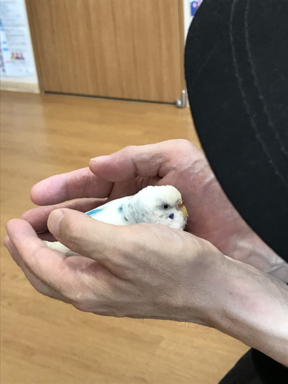 貴方の悩み、愚痴、お話し伺います 普段、なかなか人には言えない、悩みや愚痴をぶつけて下さい。 イメージ1