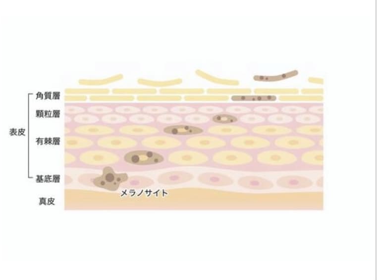 スキンケアの見直し・お肌トラブルの相談乗ります 元美容部員が全力で応援します。追加料金ナシ イメージ3