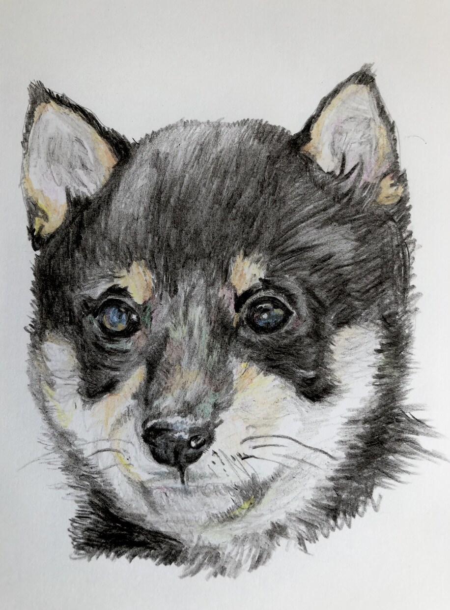 ねこ(いぬ)の似顔絵を描きます 愛する猫ちゃん(ワンちゃん)似顔絵を飾りましょう！ イメージ9