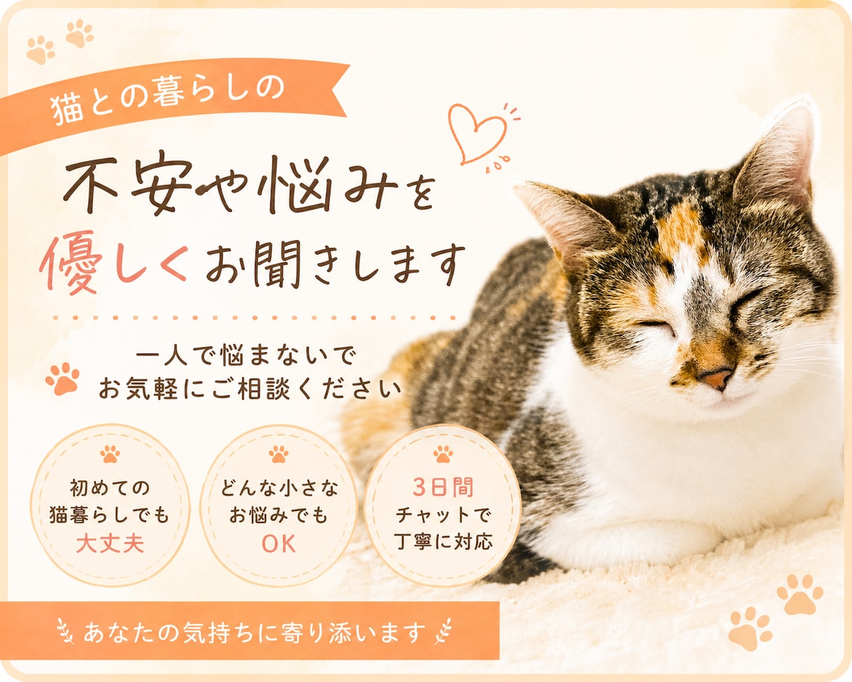 猫との暮らしの悩み聞きます 初めての猫暮らしの不安に寄り添います。 イメージ1