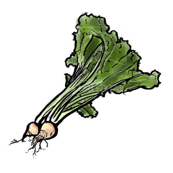 自然食品やレトロな雰囲気の和風イラスト描きます ちょっと空いたスペースに和風の挿絵でイメージアップ! イメージ4