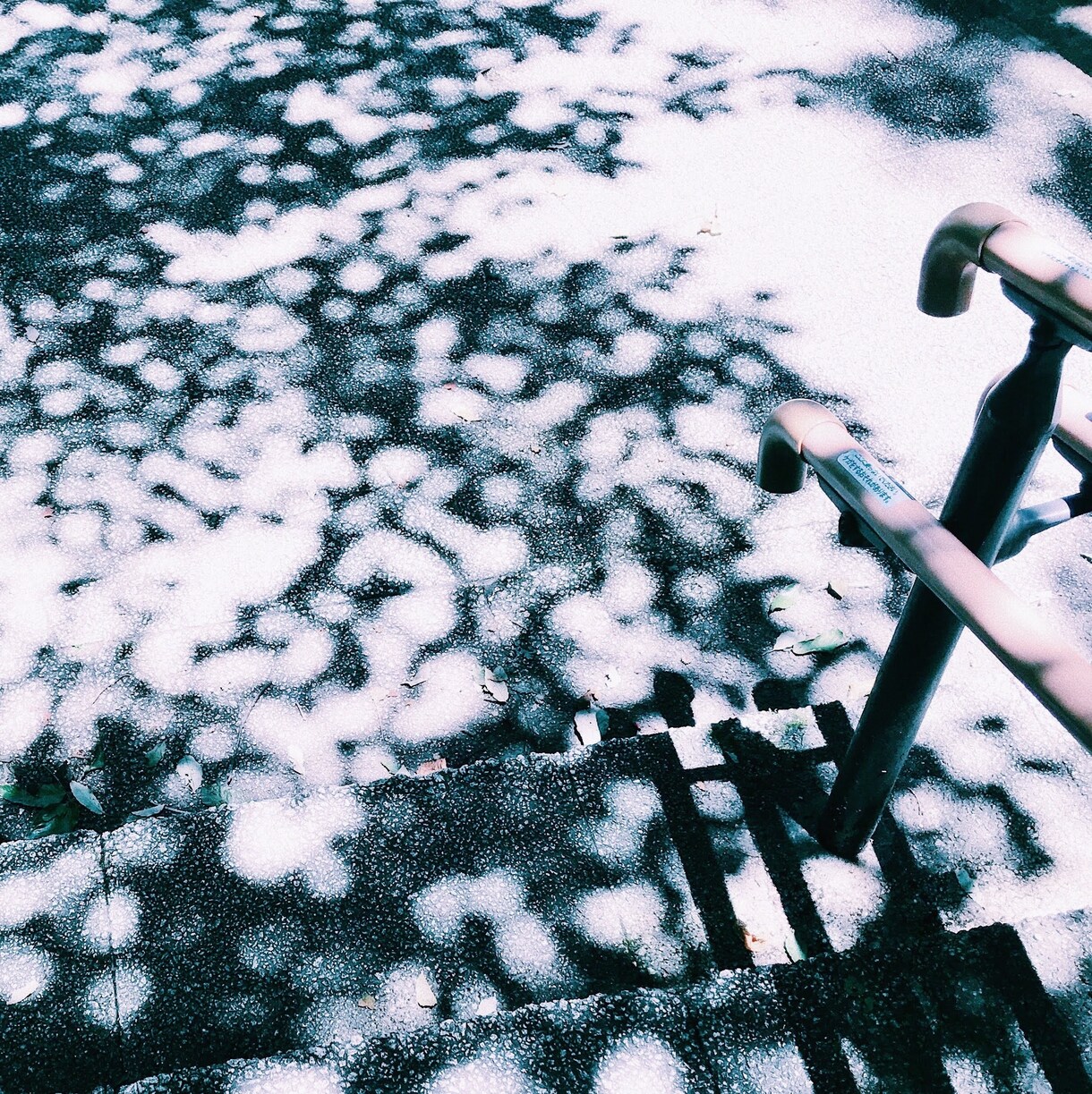 あなたの写真をフィルムの写真のように加工します SNSをもっと楽しく可愛く有効活用してみませんか？ イメージ5
