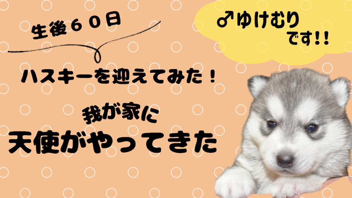 再生数アップするYouTubeサムネイル作成します クリック数、再生回数を伸ばすお手伝いをさせてください♪ イメージ2