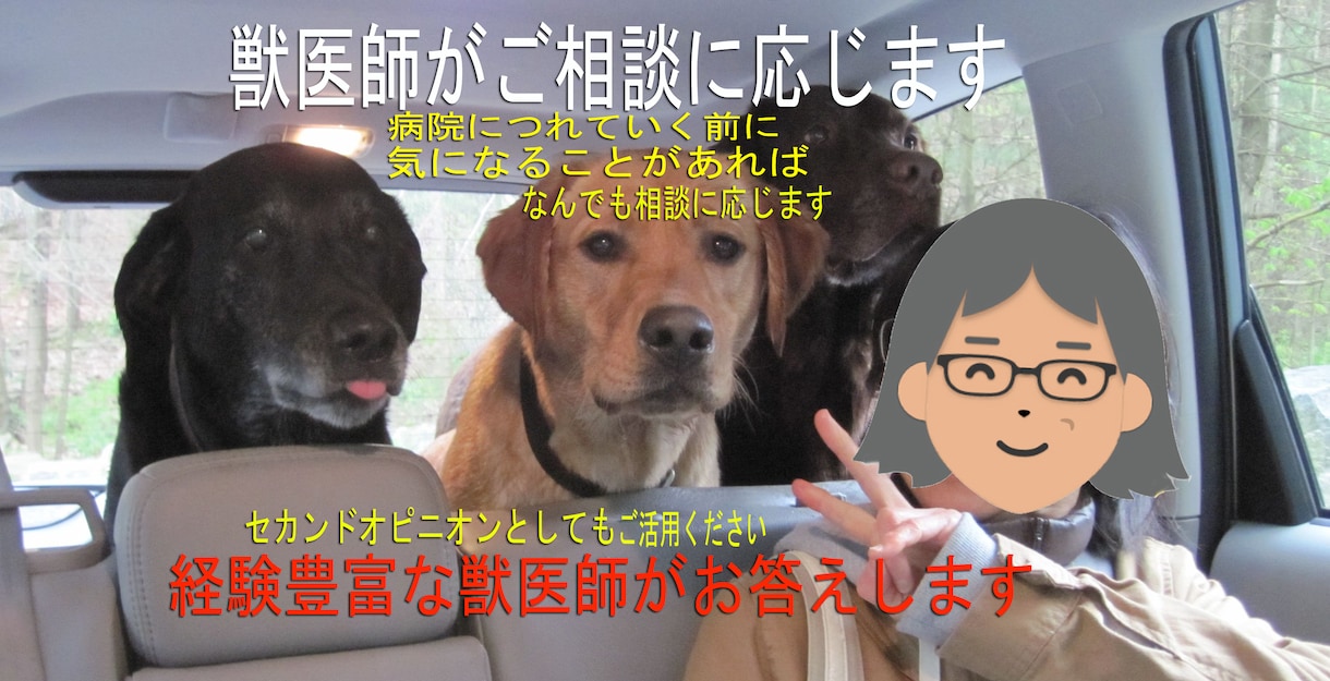 獣医師があなたのご相談を承ります 気になることはどんなことでもお気軽にご相談ください。 イメージ2