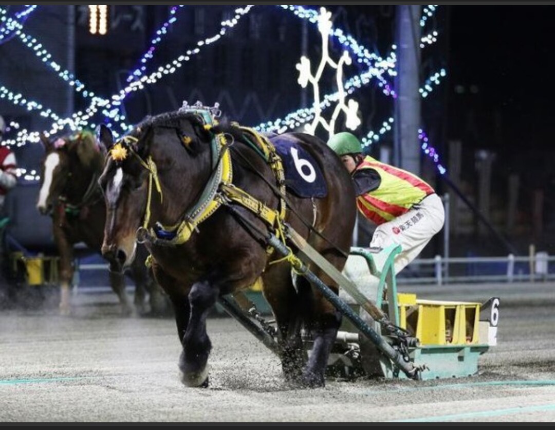 競馬打ちの9.5割が知らない的中率UP法を教えます 競馬界の闇を暴き、その闇を利用して的中率UP&養分脱却 イメージ1