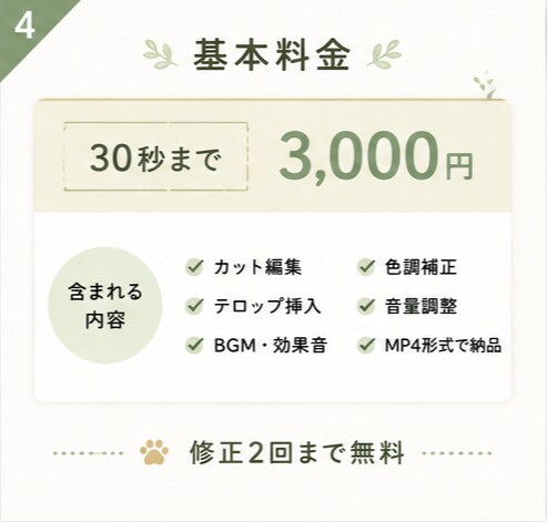 SNSショート動画を編集します SNS動画を丁寧・迅速に編集します イメージ4