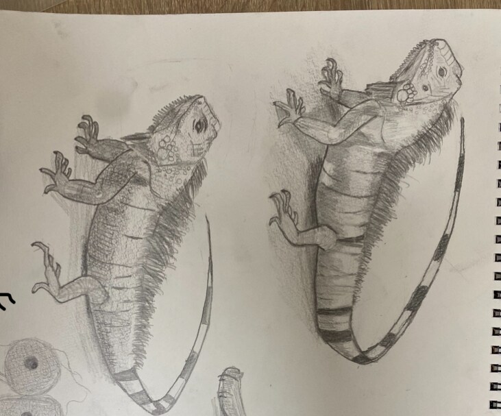 愛して止まないペットお描きします 絵に宿る！！！愛してやまない家族(動物)がいつでも側に✨ イメージ2