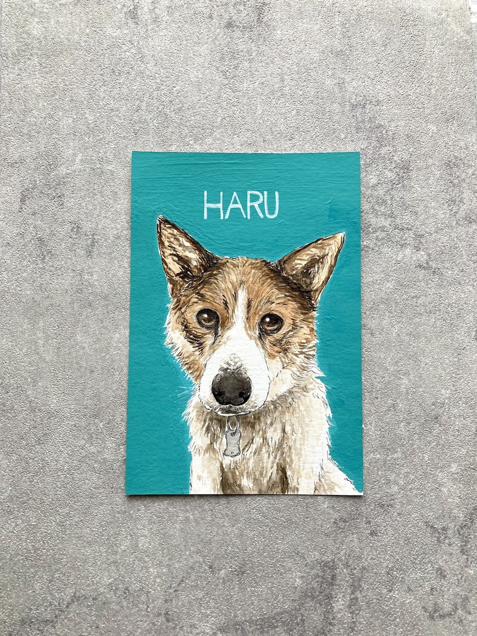 あなたの可愛いペット様の似顔絵お描きします 【世界にひとつだけ】うちの子似顔絵 イメージ1
