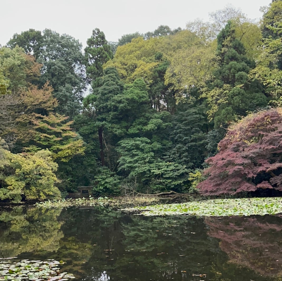 霊視+ヒーリングで鑑定させていただきます ☆生年月日不要、オールマイティに鑑定いたします☆ イメージ9