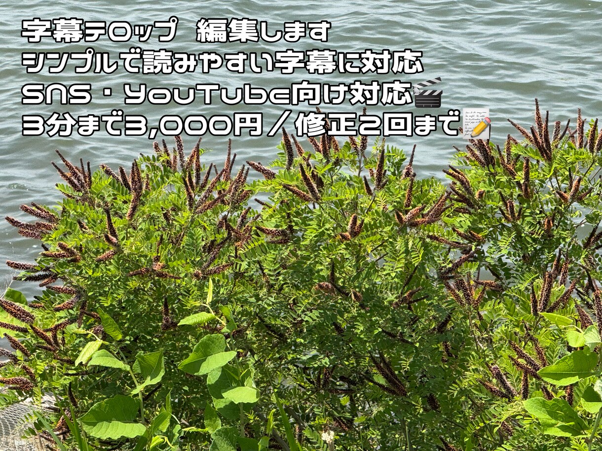字幕のみ対応します。ご希望にあわせて編集します SNSやYouTube向け字幕、ていねいに編集します イメージ2