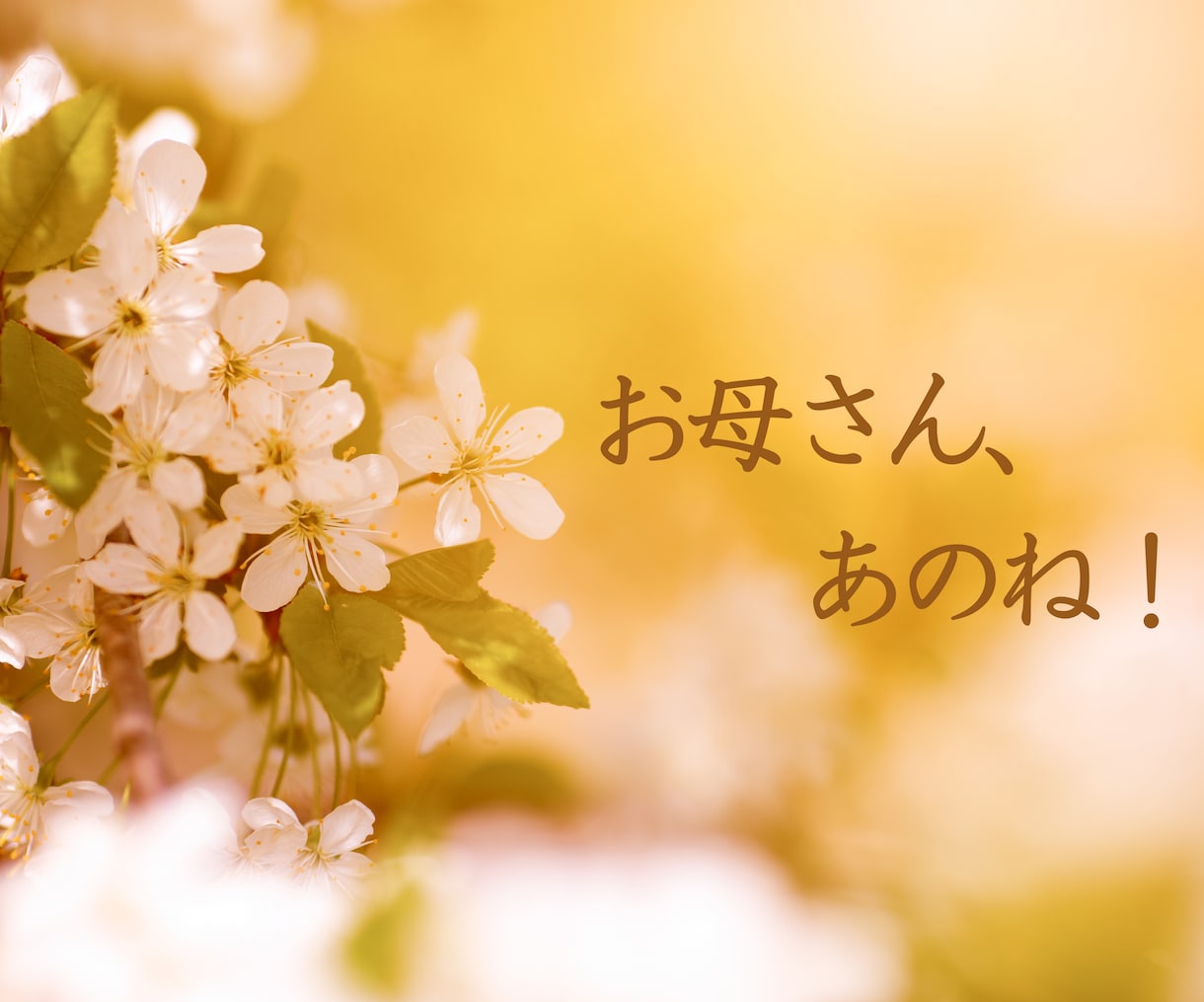 お母さん、あのね！　睡蓮があなたの話をお聞きします お母さんには言えない悩みや不安を、大きな愛で受けとめます イメージ1