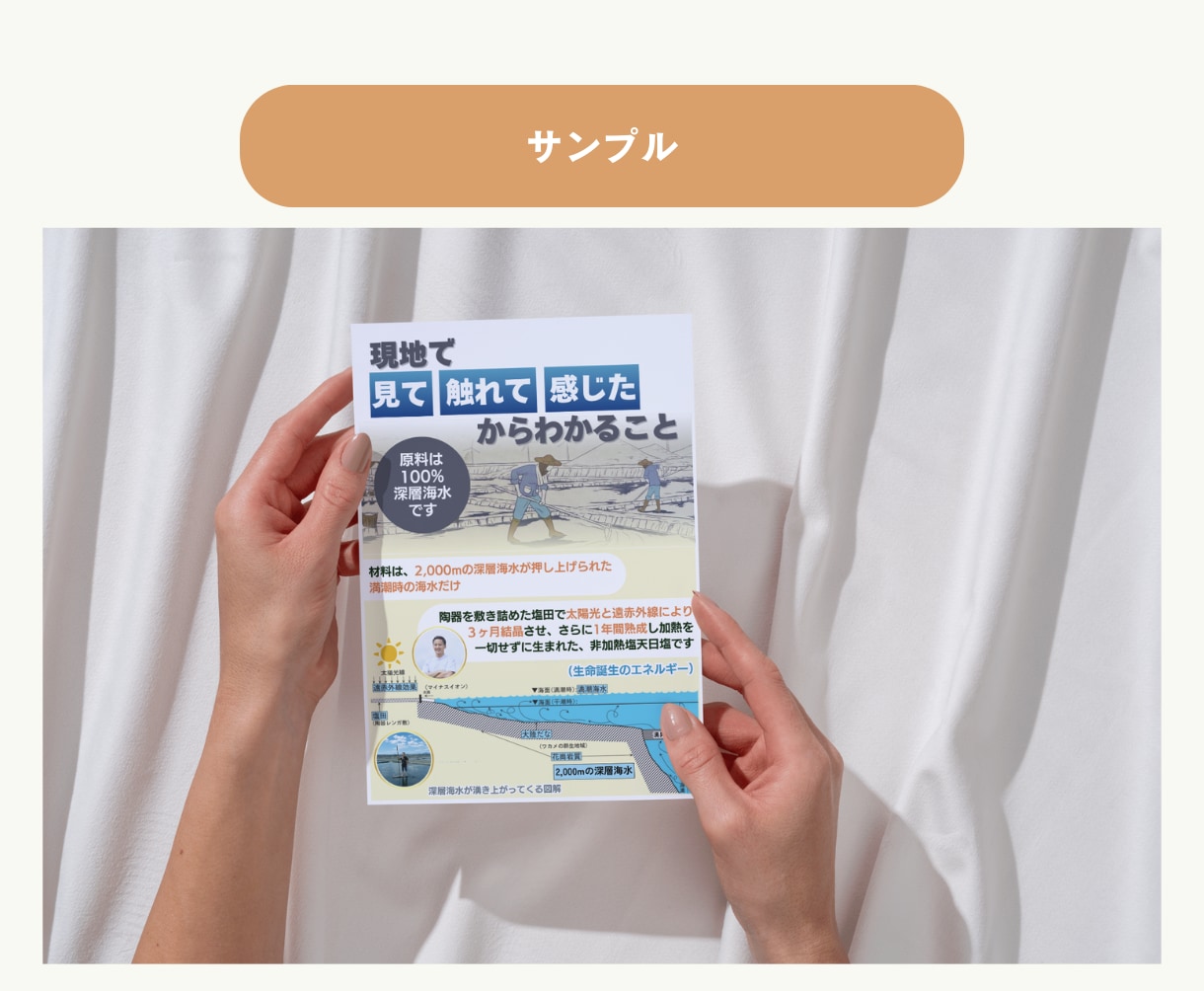 分かる！伝わる！チラシ、フライヤー制作します 初稿３日以内！でも着実・丁寧にこだわって制作致します。 イメージ4