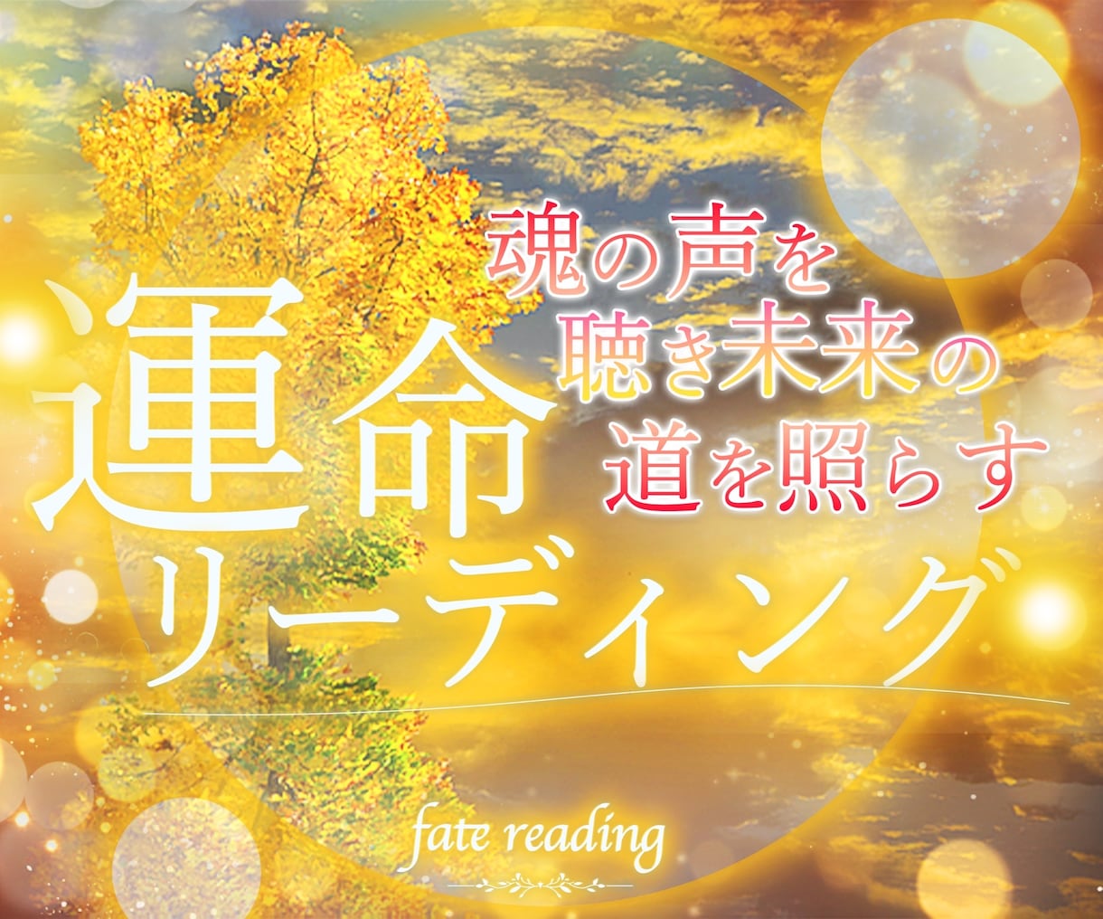 魂の記憶アカシックに繋がり魂の記憶を読み解きます お試し5分OK 潜在意識と魂のテーマから今必要な答えを視ます イメージ1