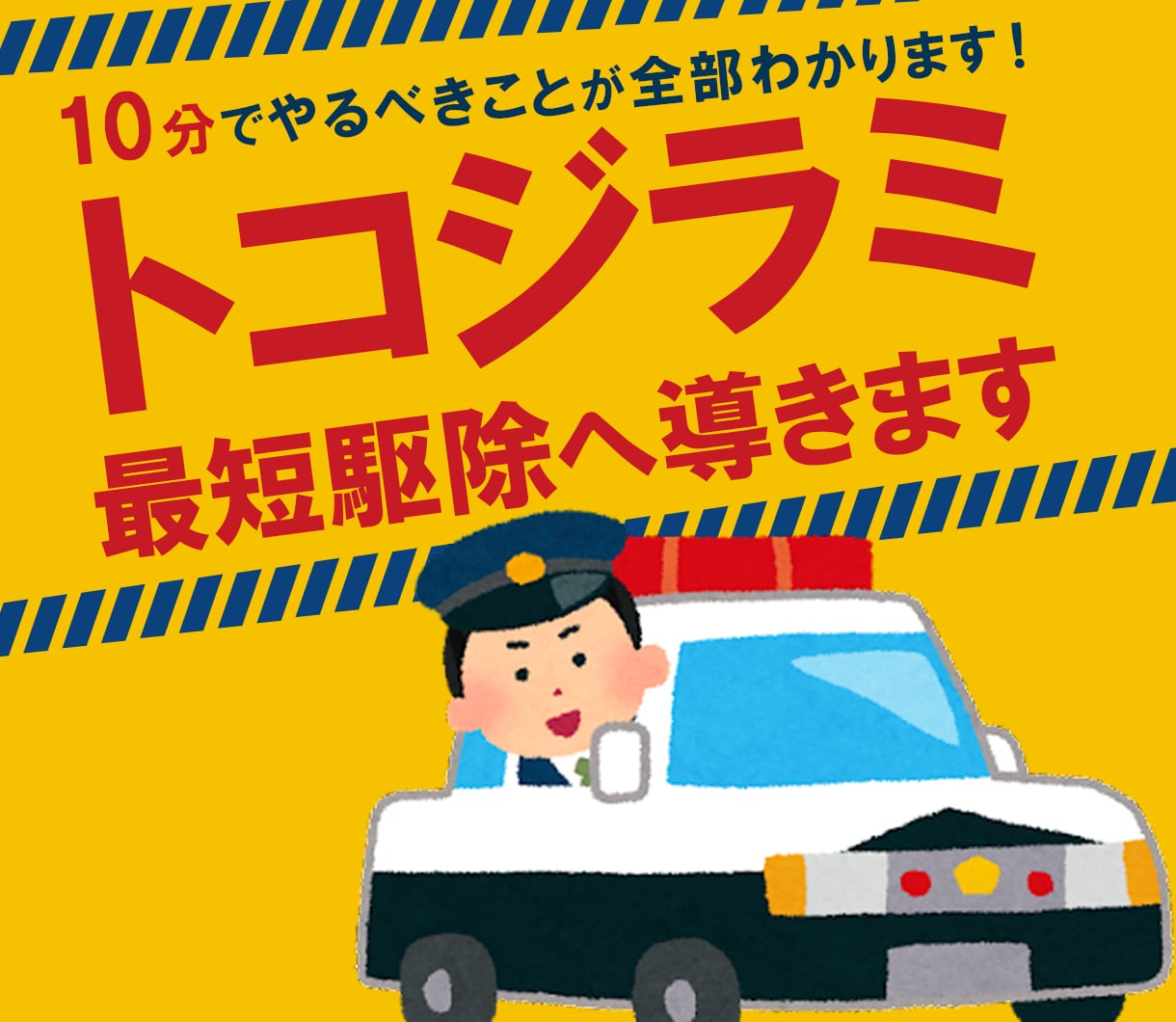 トコジラミ作戦会議/具体的なアドバイスします 一人で悩まず専門家と一緒に撲滅作戦を立てましょう イメージ2