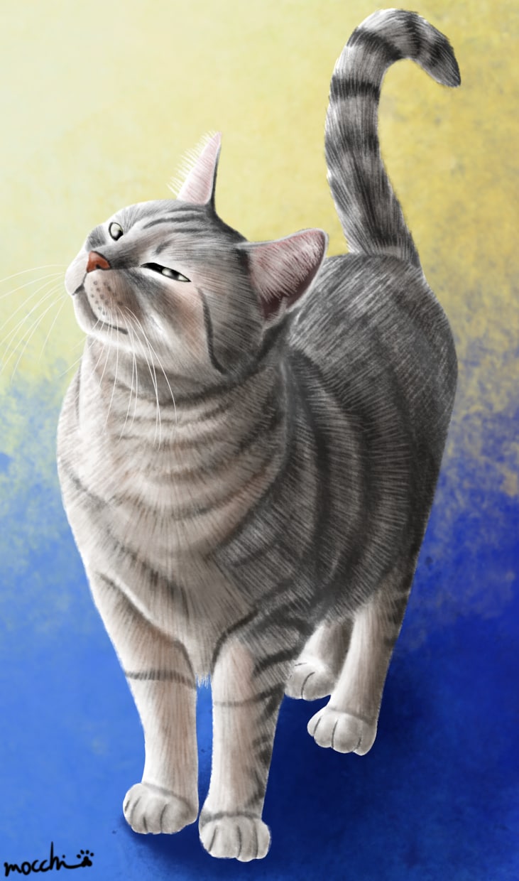 猫ちゃんの似顔絵、デフォルメなど作成します 似顔絵、かわいいイラスト、キャライラスト、人物など描きます イメージ3