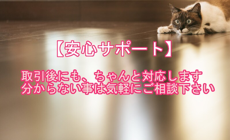 巷で人気のコピペ系商材ネタを先着5名に大暴露します コピペ作業系はこうやって稼ぎます！ イメージ3
