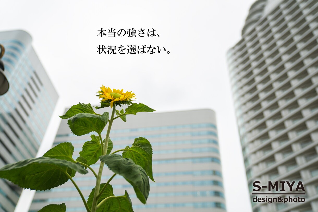 写真に合わせたキャッチフレーズ考えます 企業や個人、HPの見出しやチラシ等に。 イメージ1