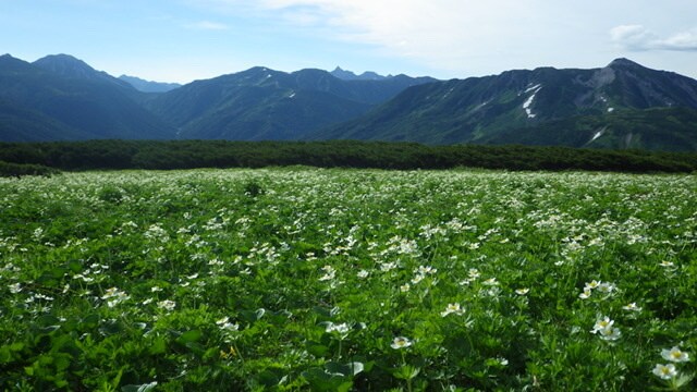 登山についての各種相談、承ります 【初心者歓迎】日帰り、テント泊、沢登り、雪山　各種入門 イメージ1